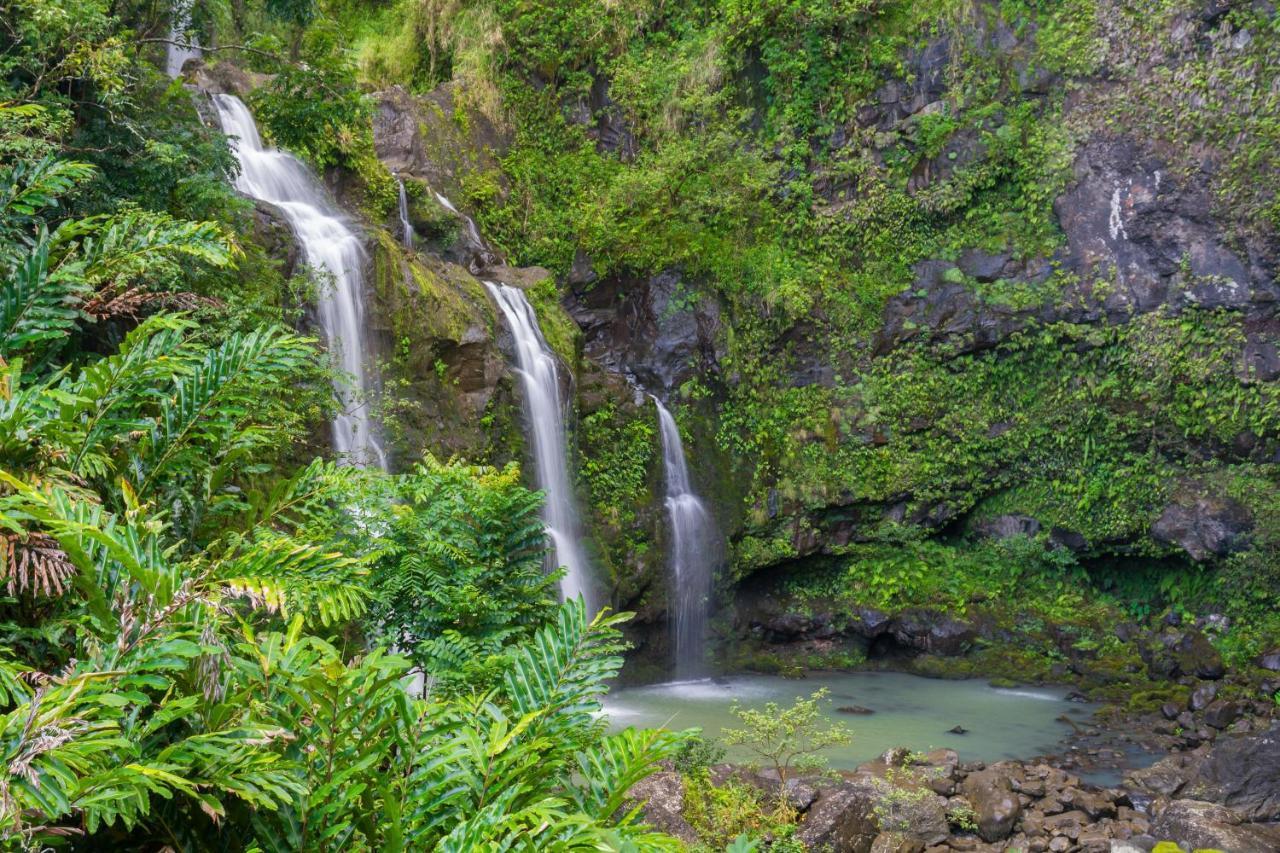 Вілла Kaleialoha 213 Лагайна Екстер'єр фото